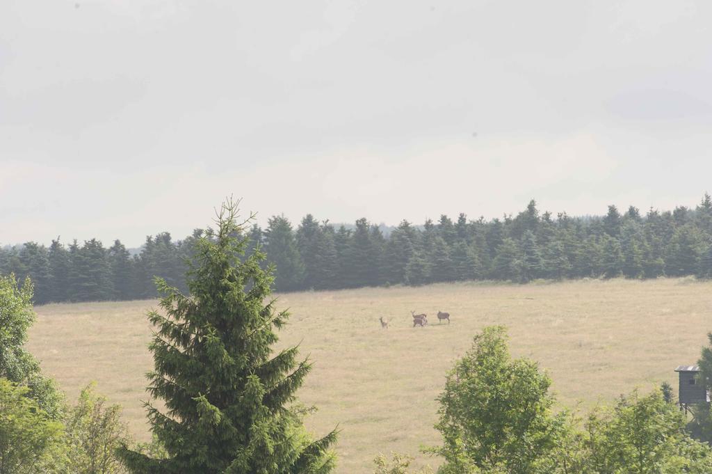 Penzion Hajovna Kliny Luaran gambar
